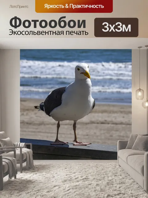 Фотообои чайка