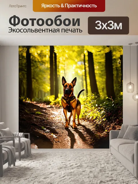 Фотообои малинуа, летняя прогулка в лесу, солнечные лучи пробиваются сквозь листья, фотография с использованием…