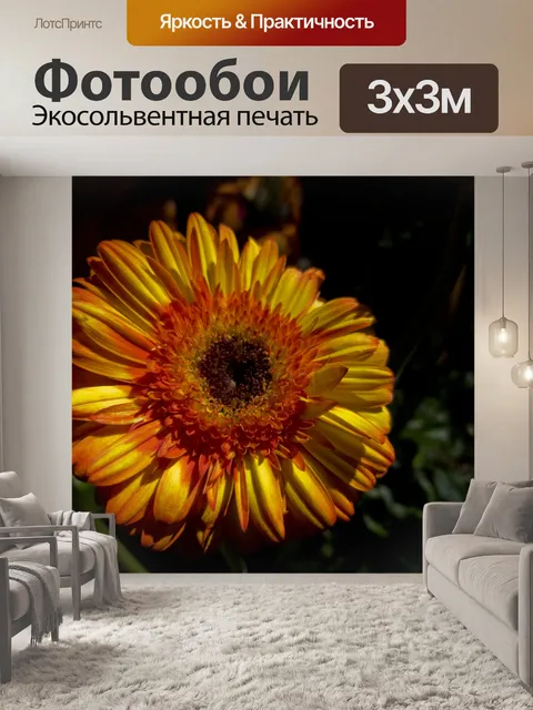 Фотообои Большой оранжевый цветок