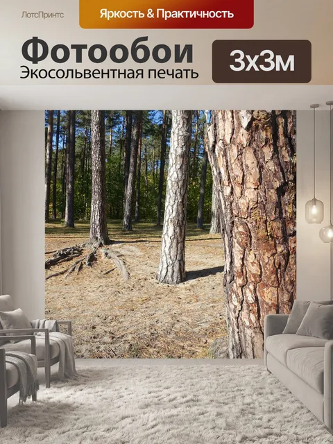 Фотообои Лес