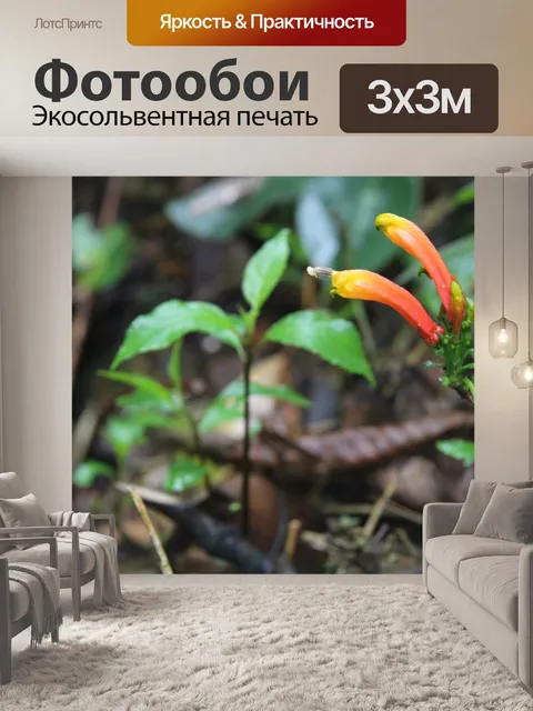 Фотообои Оранжевый цветок в тропическом лесу