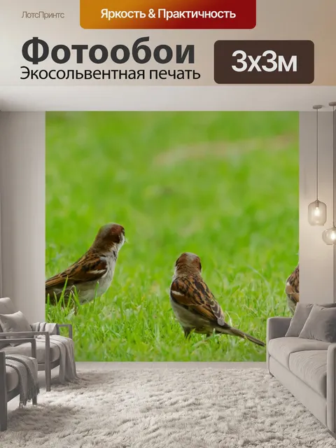Фотообои Птица