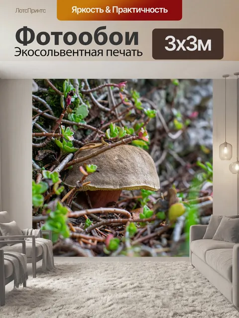 Фотообои Гриб