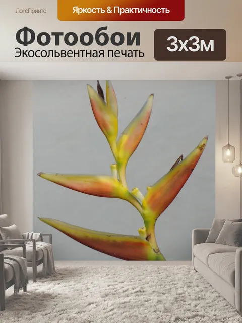 Фотообои Райская птица цветок