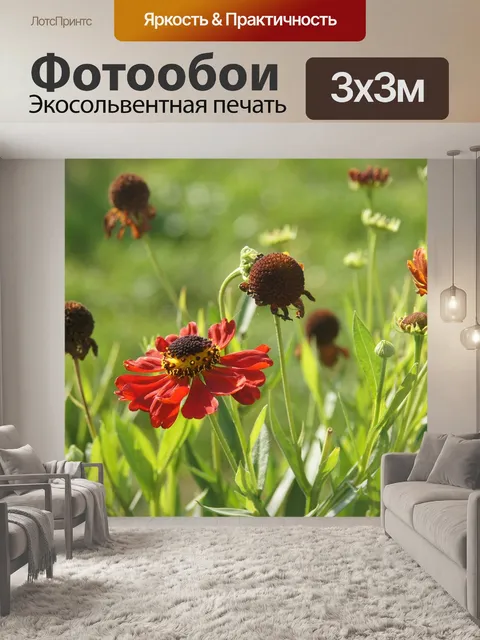 Фотообои Цветы