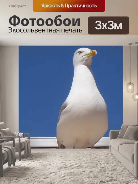 Фотообои Птица