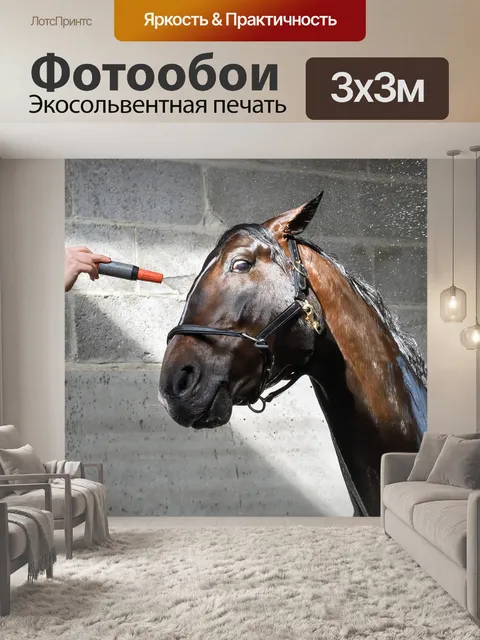 Фотообои Лошадь