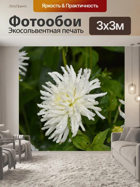 Фотообои Белые цветы