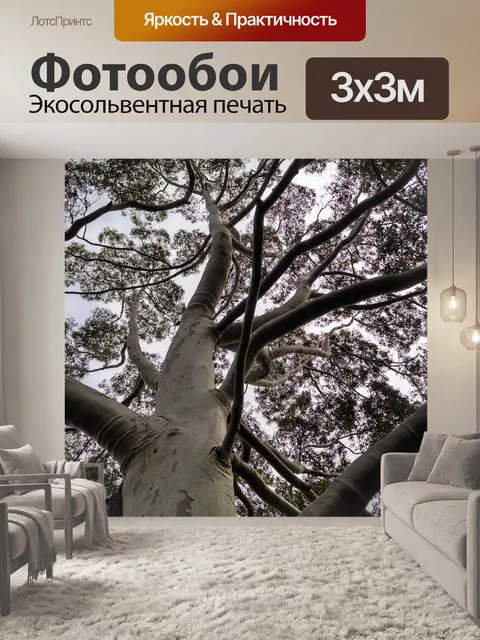 Фотообои Дерево