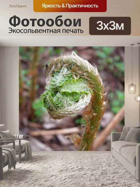 Фотообои Папоротник