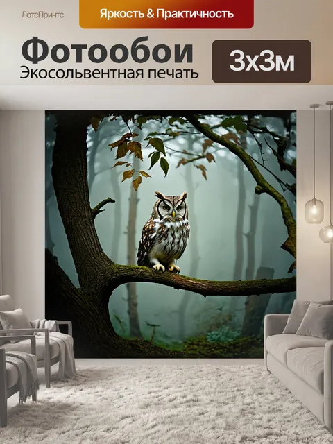 Фотообои сова сидит на ветке дерева в туманном лесу