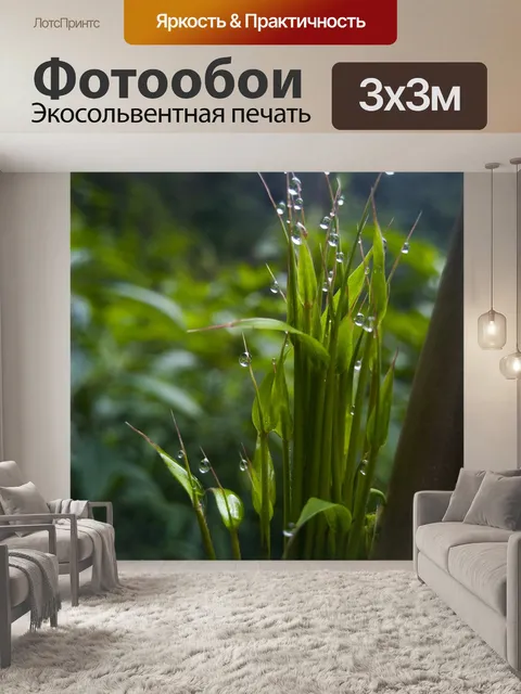 Фотообои Лист