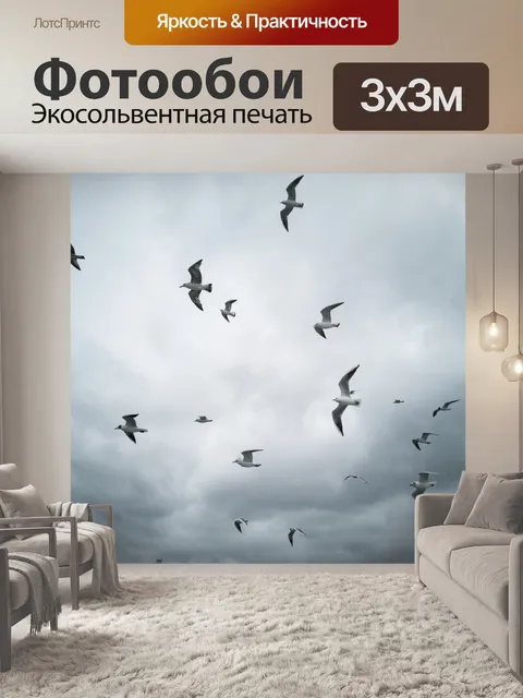 Фотообои Чайки