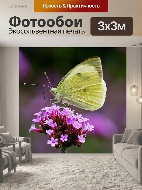 Фотообои Бабочка