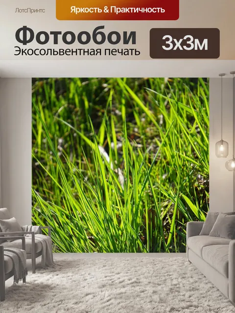 Фотообои Трава