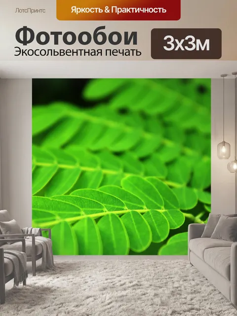 Фотообои Зеленые листья фон
