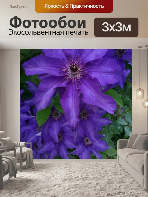 Фотообои Цветок