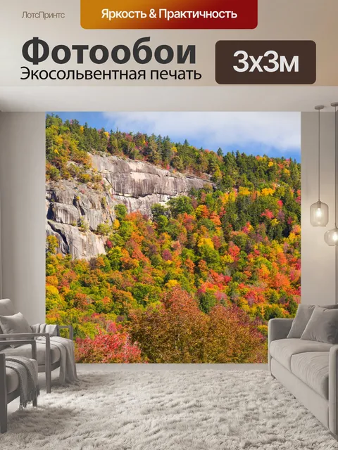 Фотообои Новая Англия листва
