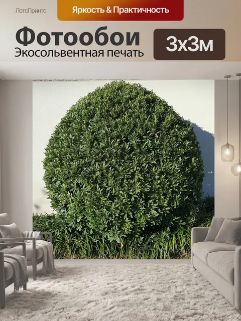 Фотообои Дерево
