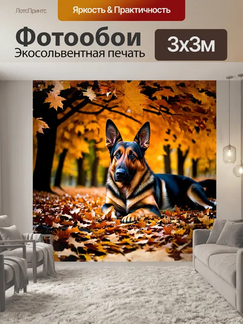 Фотообои немецкая овчарка лежит среди осенних листьев