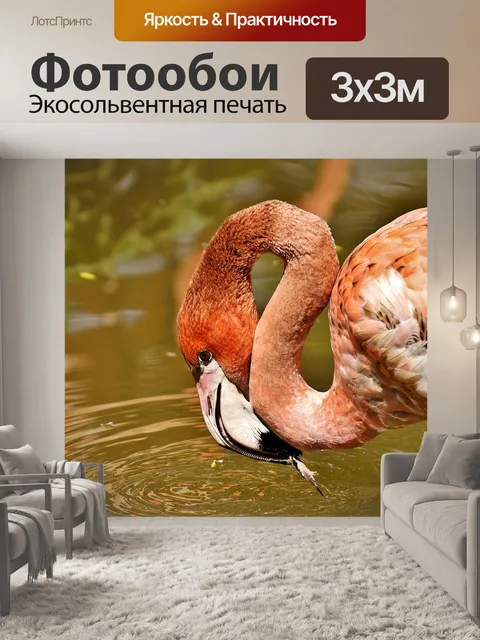 Фотообои Фламинго