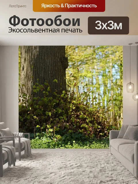 Фотообои Лес