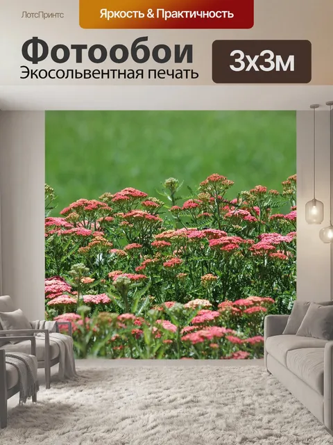 Фотообои Природа