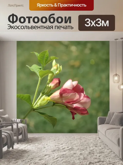 Фотообои Цветок
