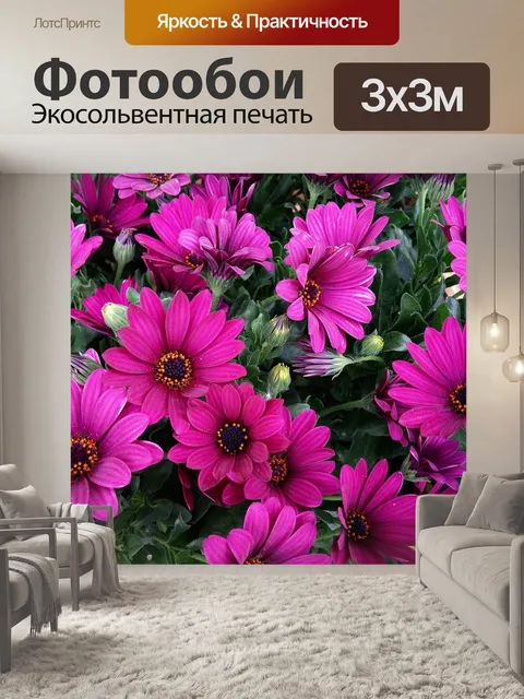 Фотообои Цветок