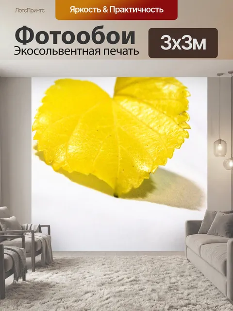 Фотообои Желтые листья