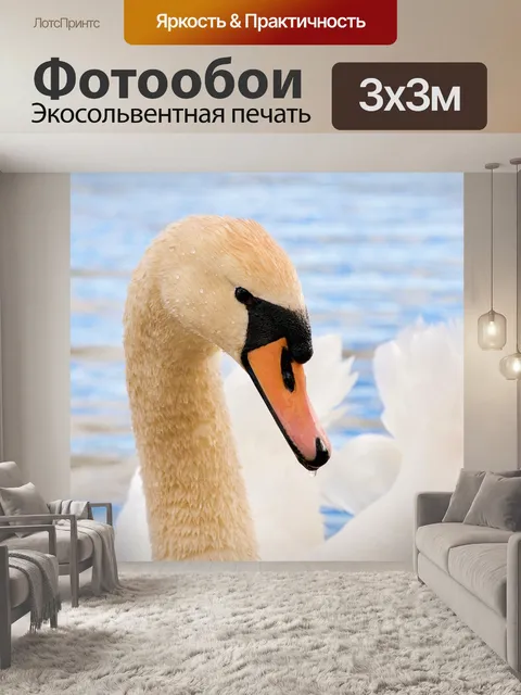 Фотообои Птицы