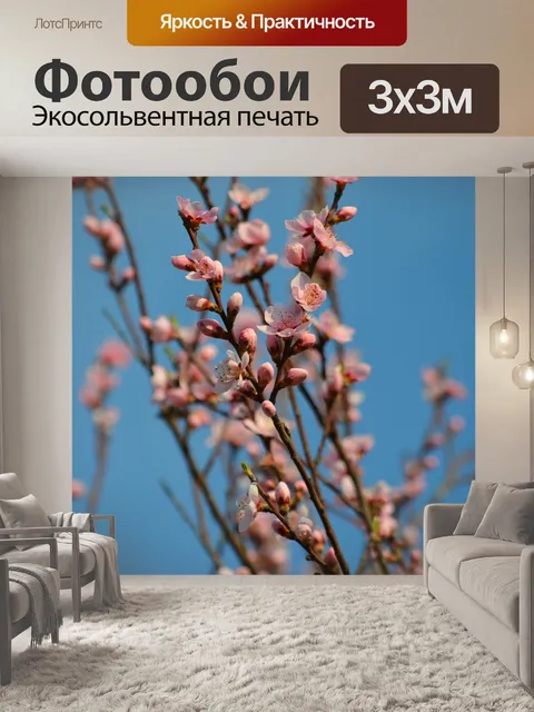 Фотообои Персиковые цветы