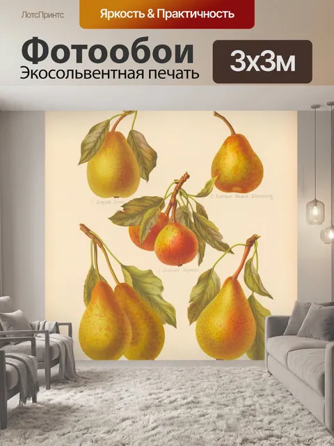 Фотообои Груши фрукты винтажные