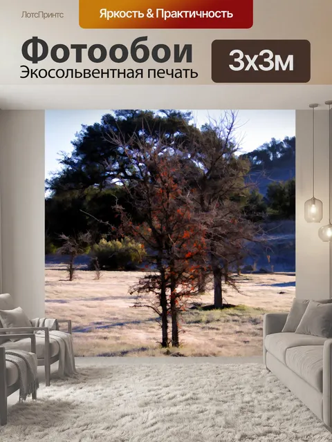 Фотообои Маленькое осеннее дерево