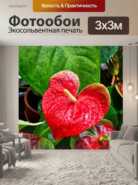 Фотообои Лист