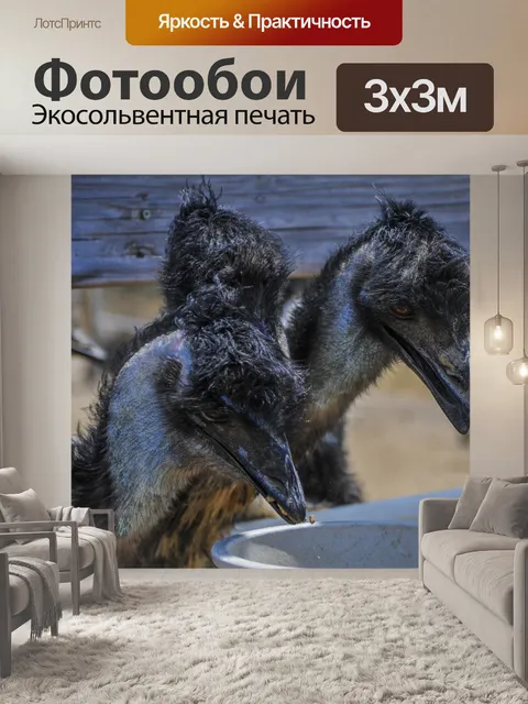 Фотообои Три Эмуса
