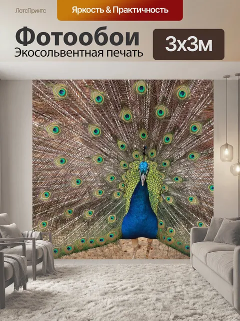Фотообои Птица