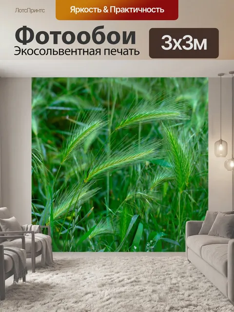 Фотообои Пшеница