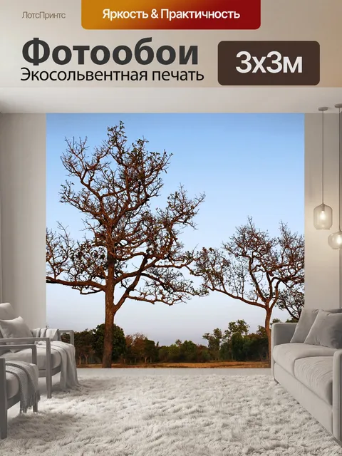 Фотообои Силуэт дерева в природе