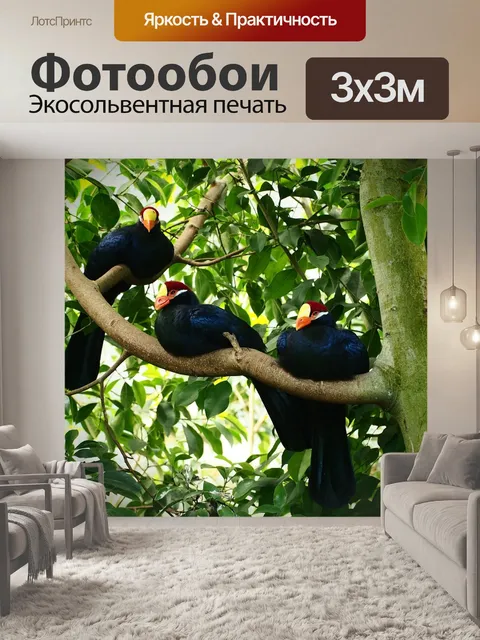 Фотообои Птицы