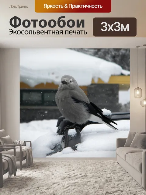 Фотообои Серые и белые птицы