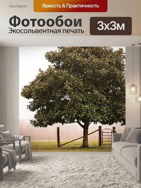 Фотообои Заборные ворота