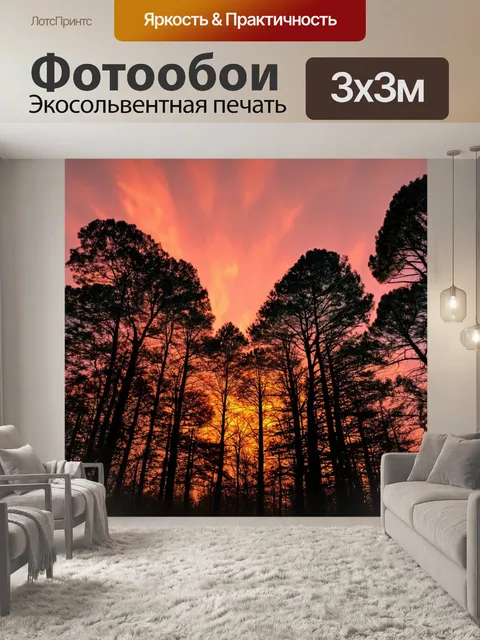 Фотообои лес с закатным небом, яркие оранжево-розовые оттенки над деревьями