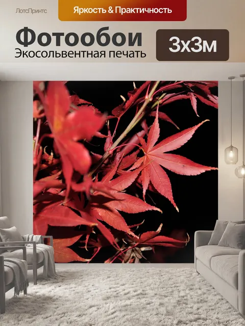 Фотообои Цветок
