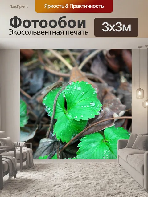 Фотообои Клубника