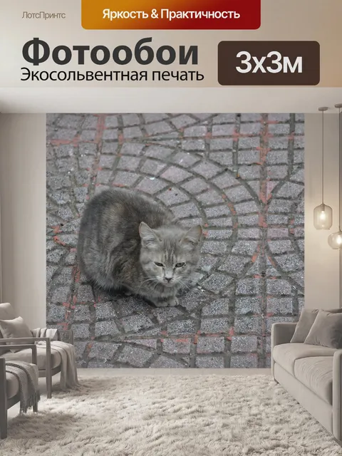 Фотообои Кошка