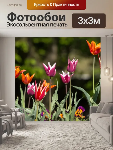 Фотообои Тюльпаны
