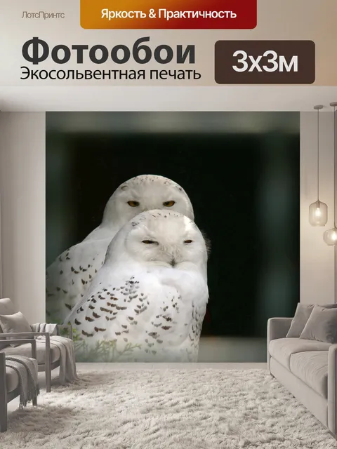 Фотообои Белый