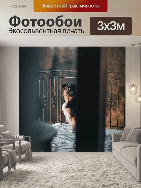 Фотообои Собака