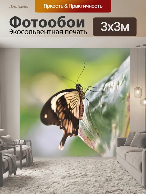 Фотообои Бабочка